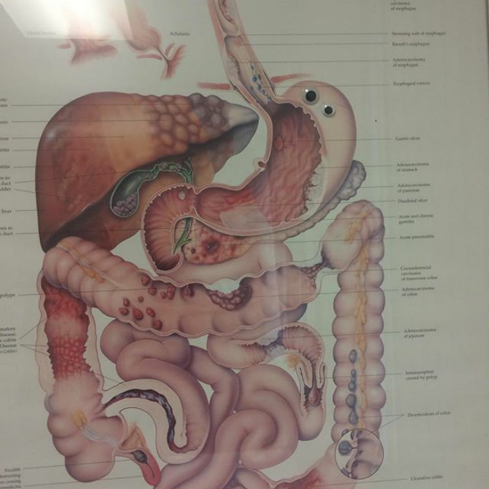 50 Funny Pics That Prove Googly Eyes Make EVERYTHING Look Better