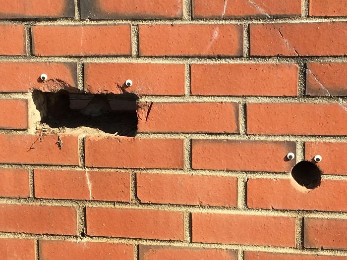 50 Funny Pics That Prove Googly Eyes Make EVERYTHING Look Better