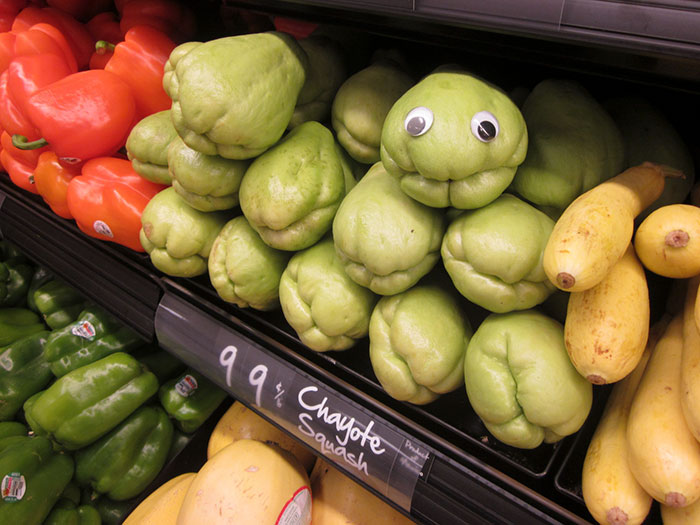 50 Funny Pics That Prove Googly Eyes Make EVERYTHING Look Better