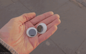 50 Funny Pics That Prove Googly Eyes Make EVERYTHING Look Better