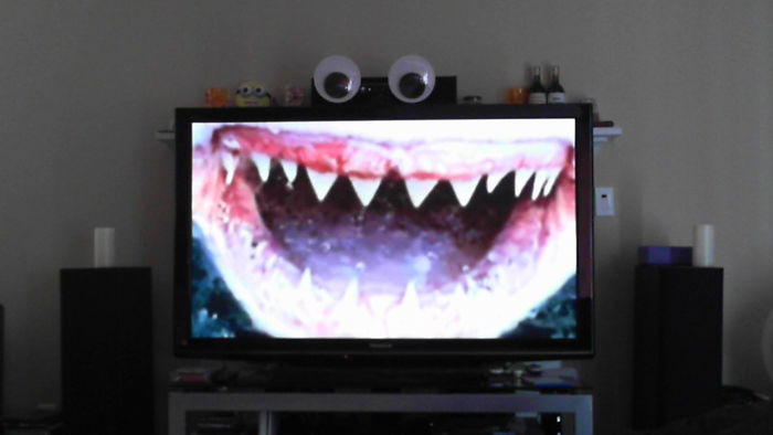 50 Funny Pics That Prove Googly Eyes Make EVERYTHING Look Better