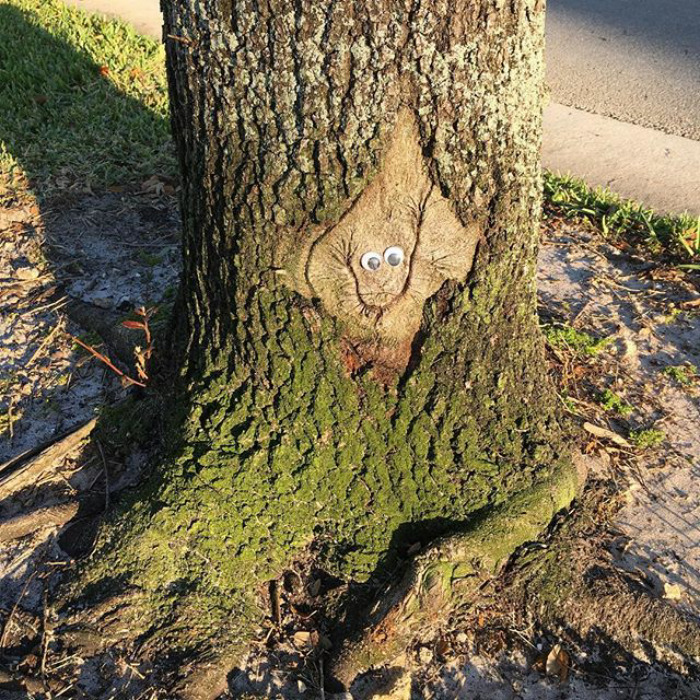 50 Funny Pics That Prove Googly Eyes Make EVERYTHING Look Better