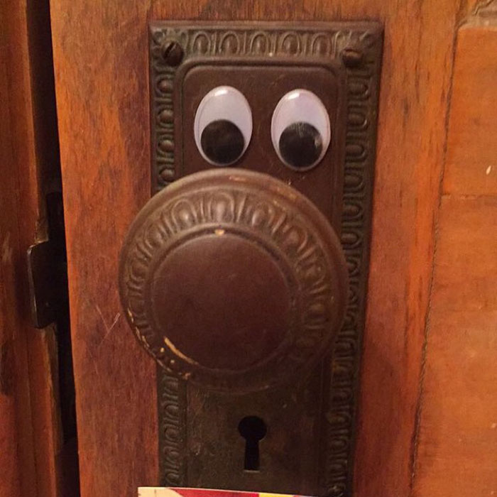 50 Funny Pics That Prove Googly Eyes Make EVERYTHING Look Better