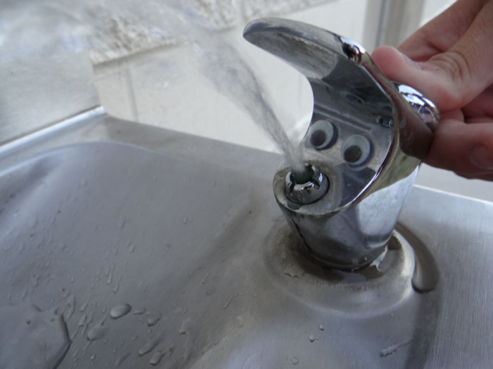 50 Funny Pics That Prove Googly Eyes Make EVERYTHING Look Better