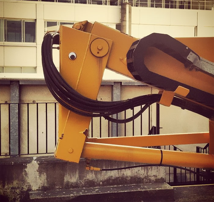 50 Funny Pics That Prove Googly Eyes Make EVERYTHING Look Better