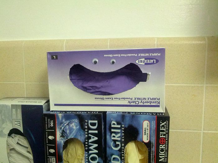 50 Funny Pics That Prove Googly Eyes Make EVERYTHING Look Better