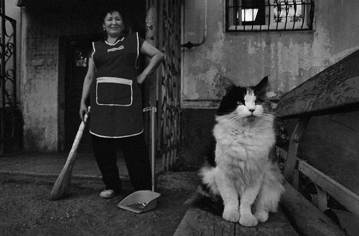 I Photograph The Secret World Of Stray Cats Of Kazakhstan