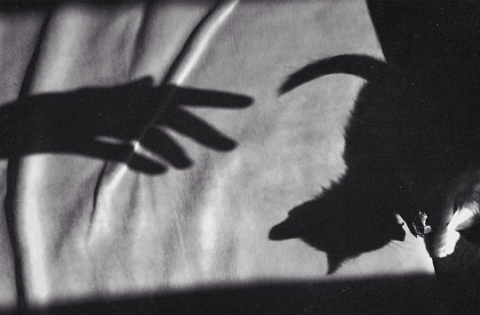 I Photograph The Secret World Of Stray Cats Of Kazakhstan