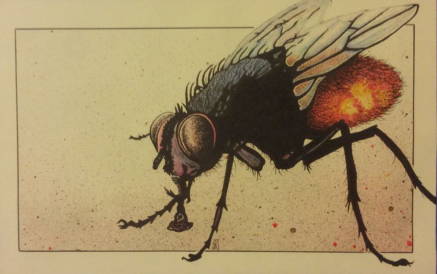 I Draw Using Ink And Pigments I Draw Using Ink And Pigments