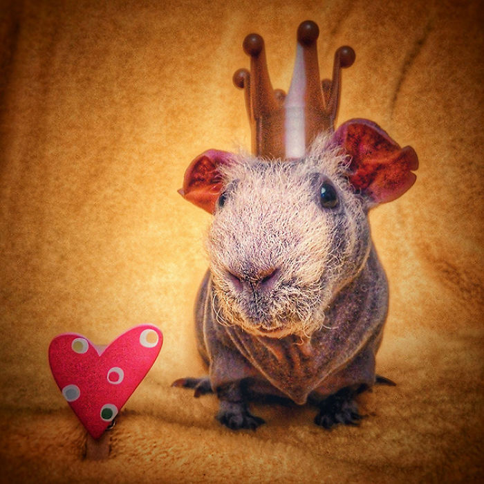 I Photographed A Skinny Model Using My Mobile Phone Camera