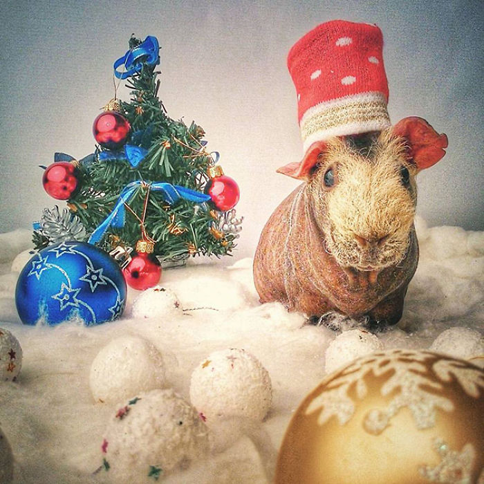 I Photographed A Skinny Model Using My Mobile Phone Camera