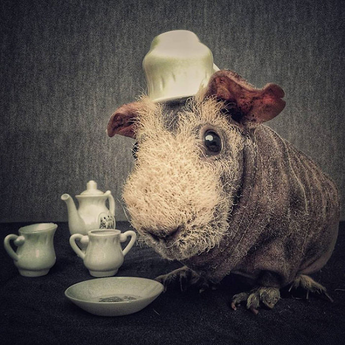 I Photographed A Skinny Model Using My Mobile Phone Camera