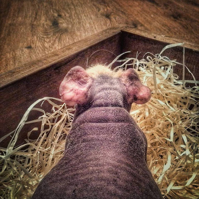 I Photographed A Skinny Model Using My Mobile Phone Camera