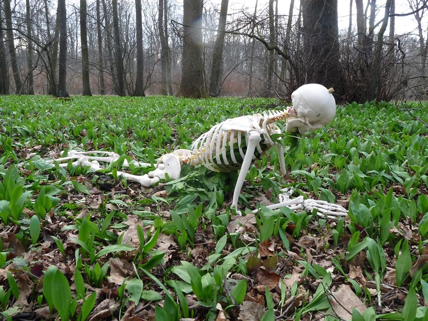 I Gave New Life For A Skeleton I Gave New Life For A Skeleton