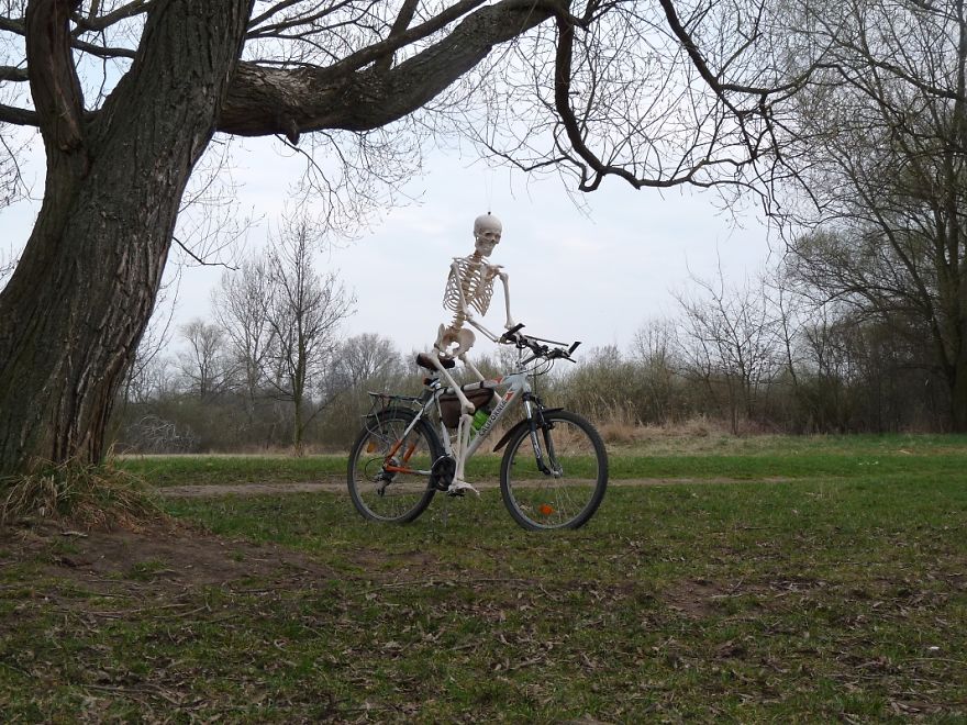 I Gave New Life For A Skeleton I Gave New Life For A Skeleton