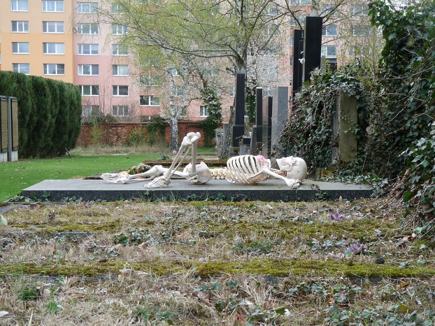 I Gave New Life For A Skeleton I Gave New Life For A Skeleton