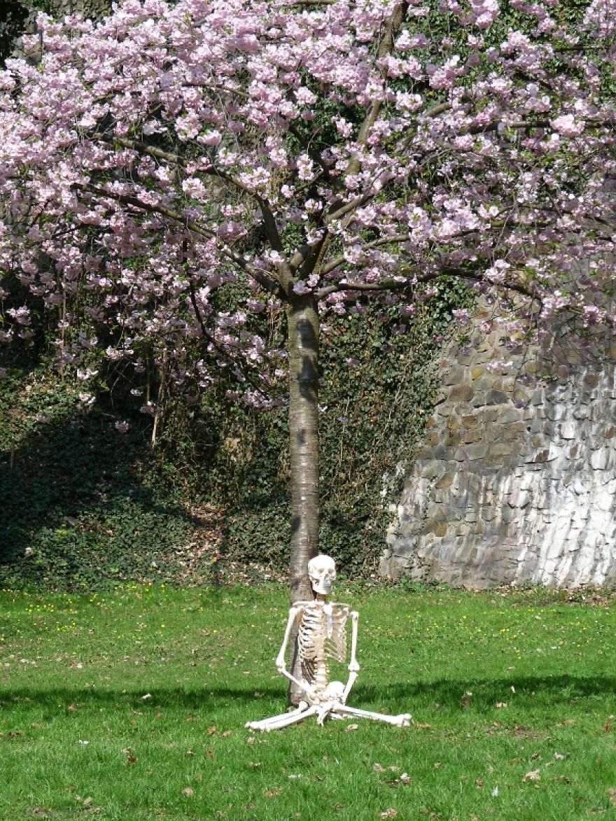 I Gave New Life For A Skeleton I Gave New Life For A Skeleton