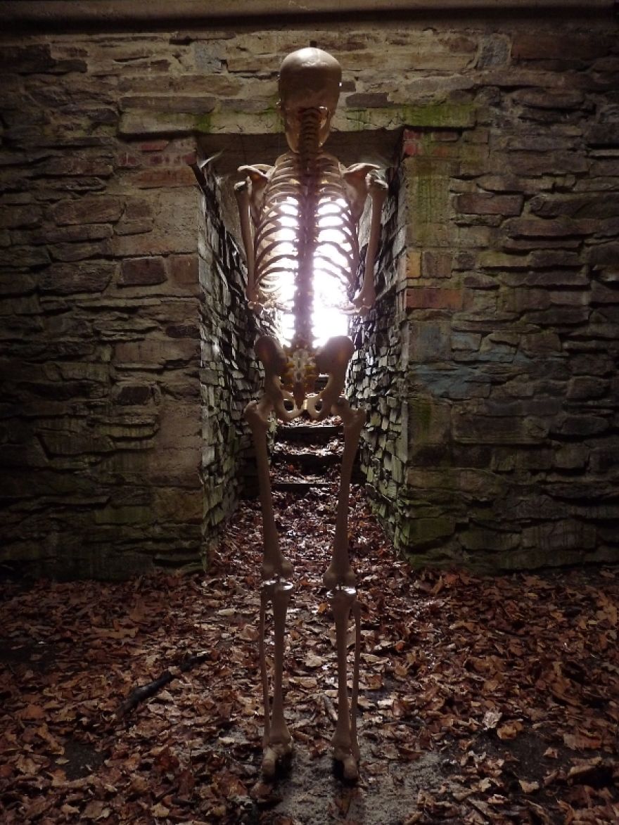 I Gave New Life For A Skeleton I Gave New Life For A Skeleton