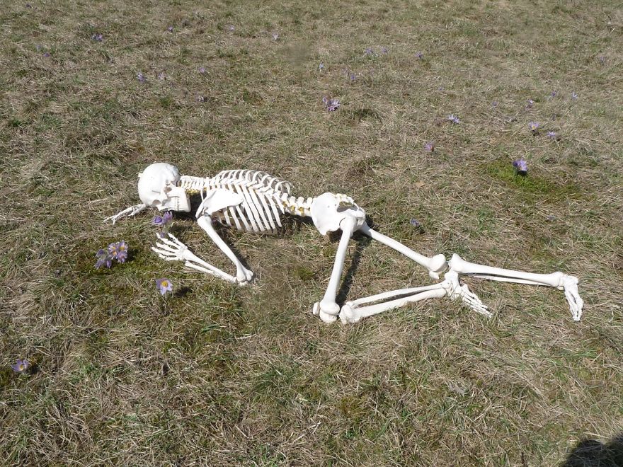 I Gave New Life For A Skeleton I Gave New Life For A Skeleton