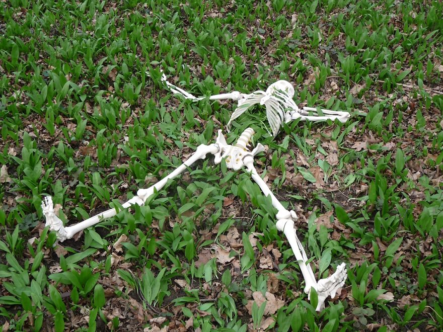 I Gave New Life For A Skeleton I Gave New Life For A Skeleton