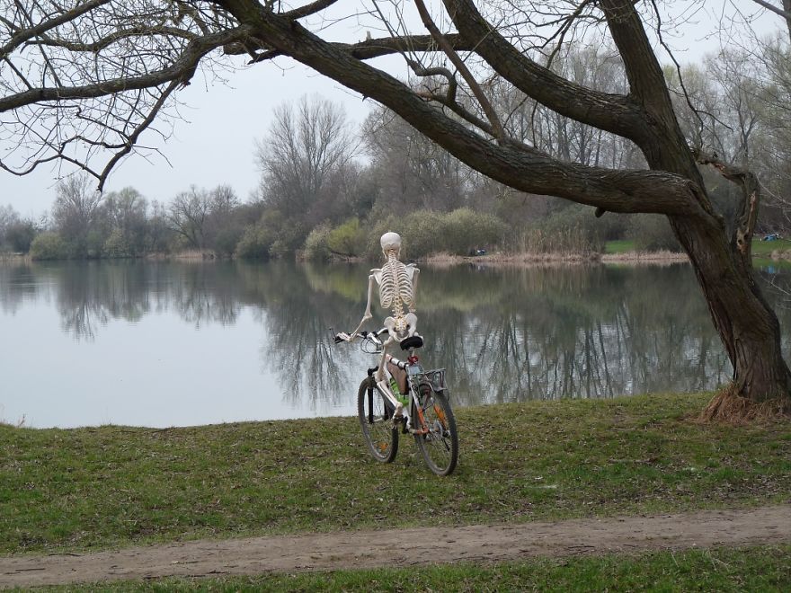 I Gave New Life For A Skeleton I Gave New Life For A Skeleton