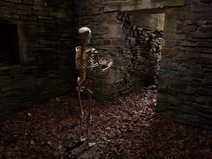 I Gave New Life For A Skeleton I Gave New Life For A Skeleton