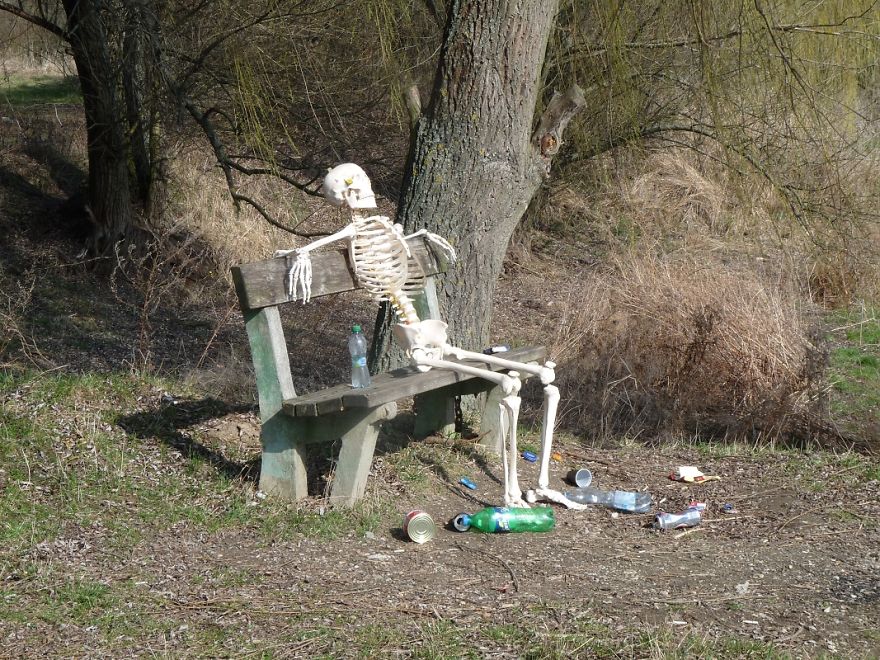 I Gave New Life For A Skeleton I Gave New Life For A Skeleton