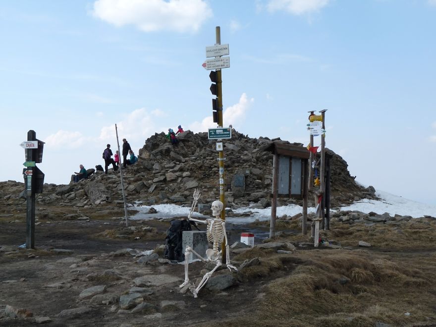 I Gave New Life For A Skeleton I Gave New Life For A Skeleton