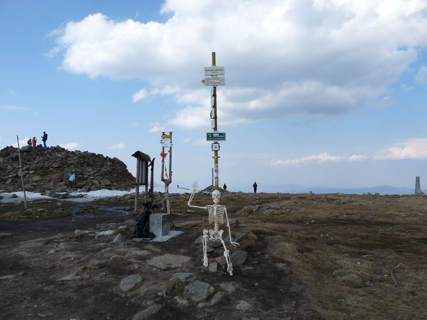 I Gave New Life For A Skeleton I Gave New Life For A Skeleton