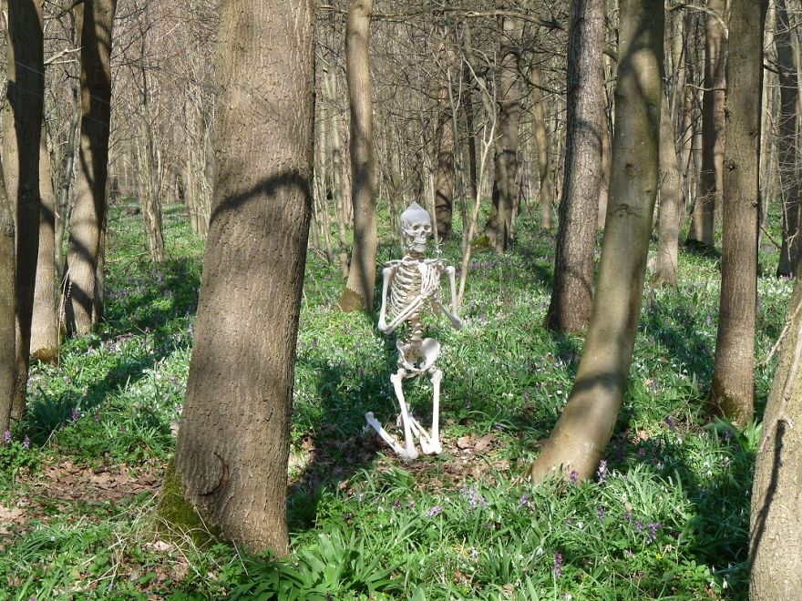 I Gave New Life For A Skeleton I Gave New Life For A Skeleton