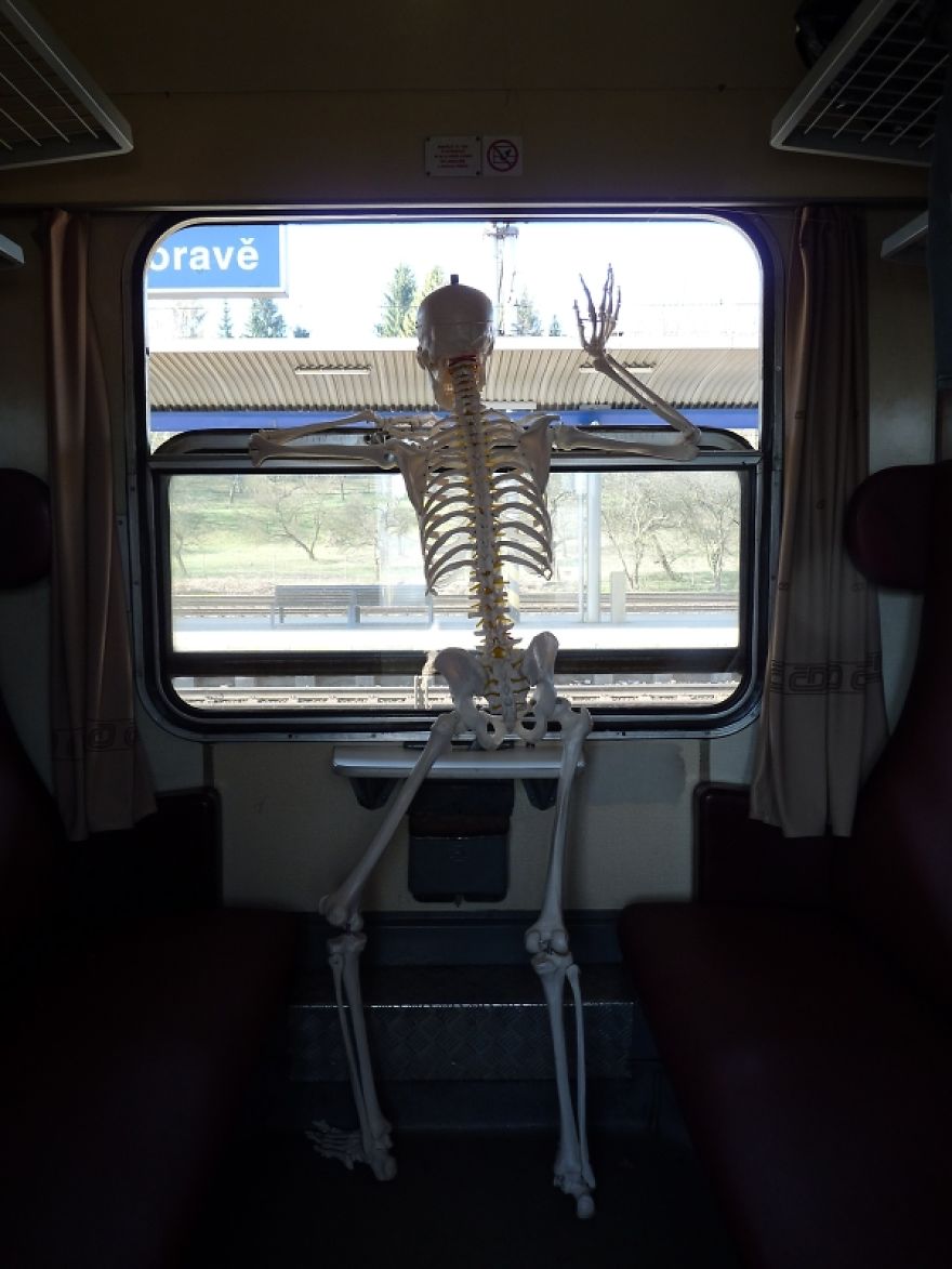 I Gave New Life For A Skeleton I Gave New Life For A Skeleton