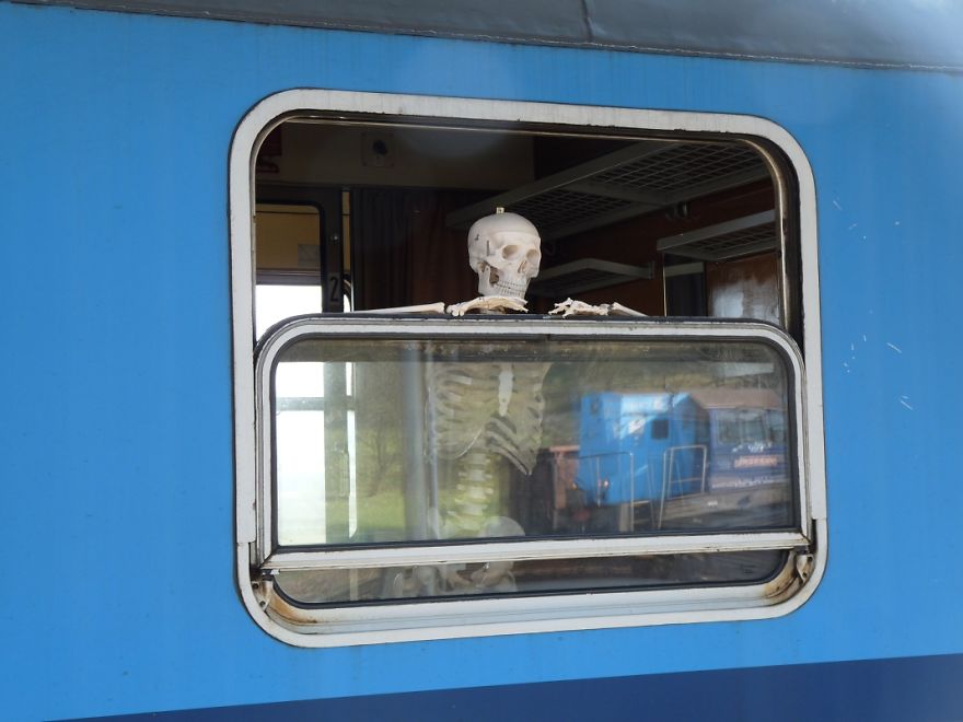 I Gave New Life For A Skeleton I Gave New Life For A Skeleton