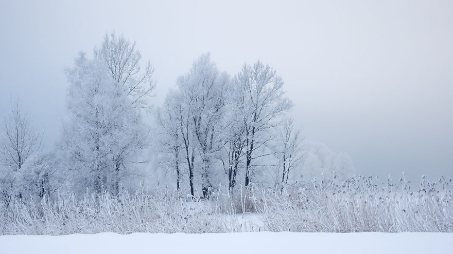 Why You Should Visit Bavaria In January &#8211; An Enchanting Winter Landscape