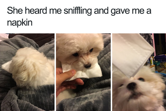 35 Happy Animal Memes That Might Make You Smile 35 Happy Animal Memes That Might Make You Smile