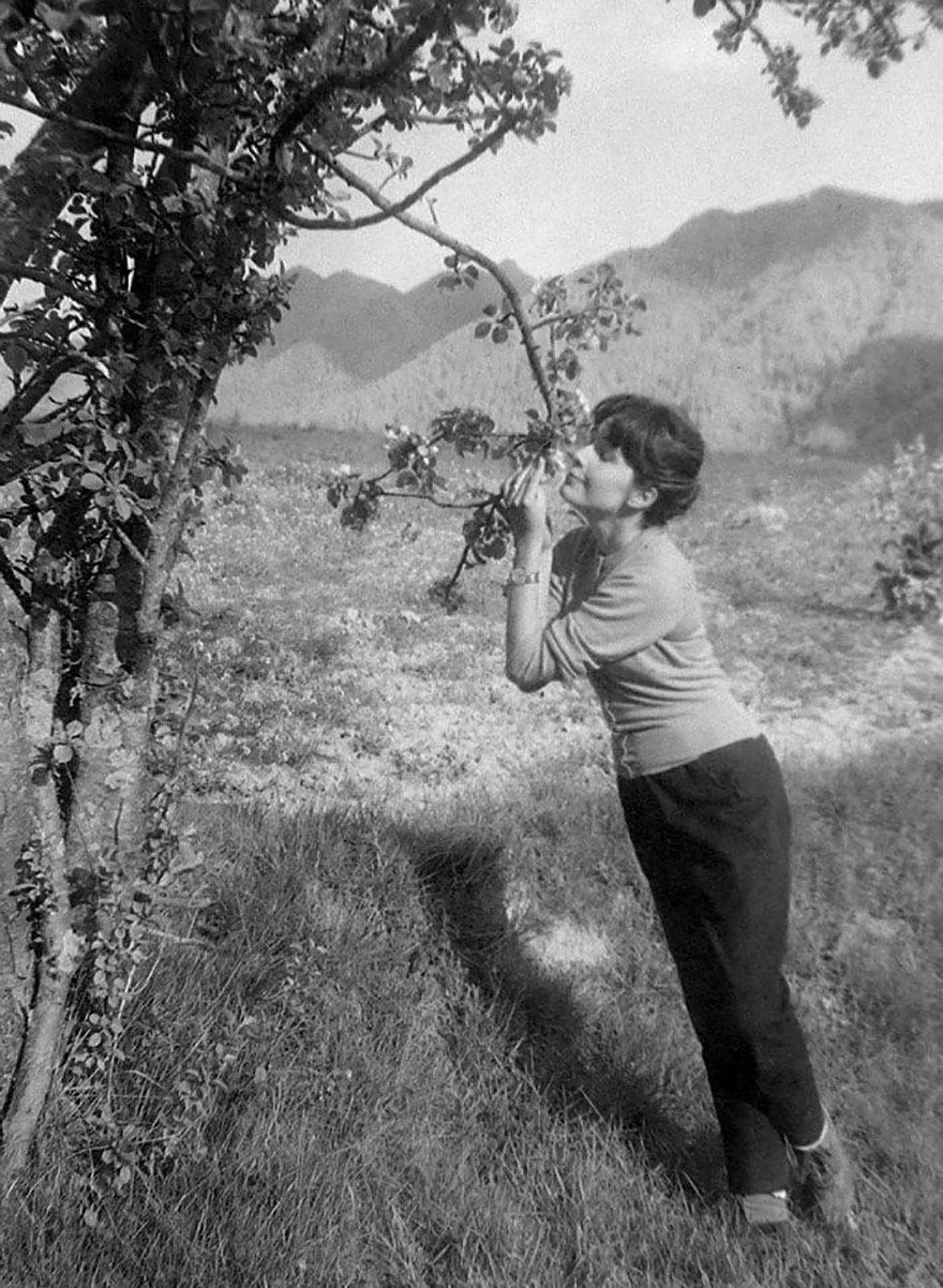 Man Buys Envelope For $3.50 In Flea Market, Discovers Lost Photos Of Barcelona By Unknown Master Photographer Inside Man Buys Envelope For $3.50 In Flea Market, Discovers Lost Photos Of Barcelona By Unknown Master Photographer Inside