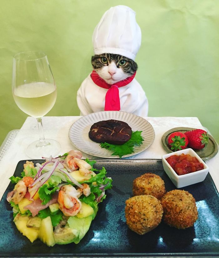 Cosplaying Cat Chef Dines With His Mom Every Night In Different Outfit Cosplaying Cat Chef Dines With His Mom Every Night In Different Outfit