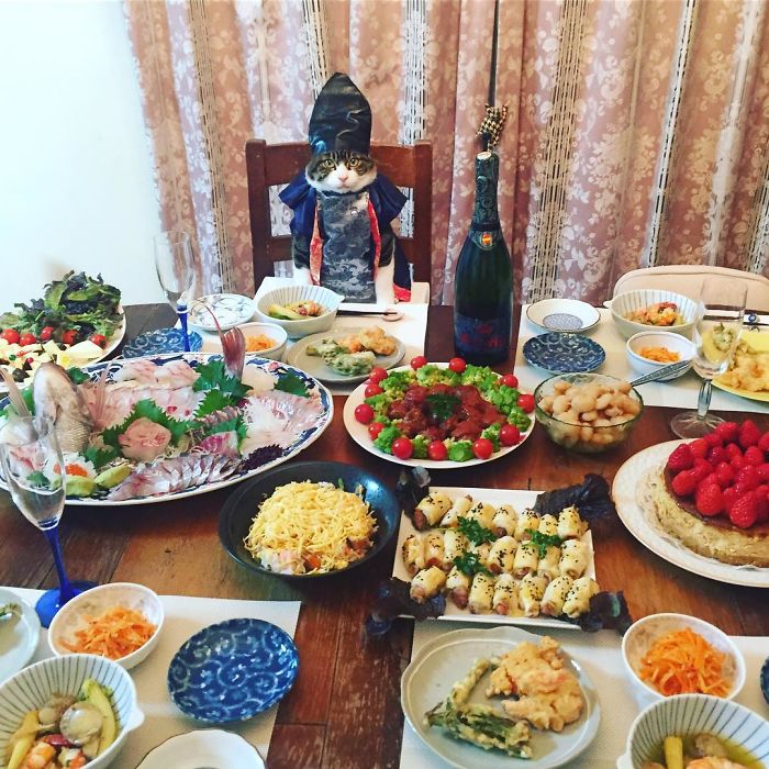 Cosplaying Cat Chef Dines With His Mom Every Night In Different Outfit Cosplaying Cat Chef Dines With His Mom Every Night In Different Outfit