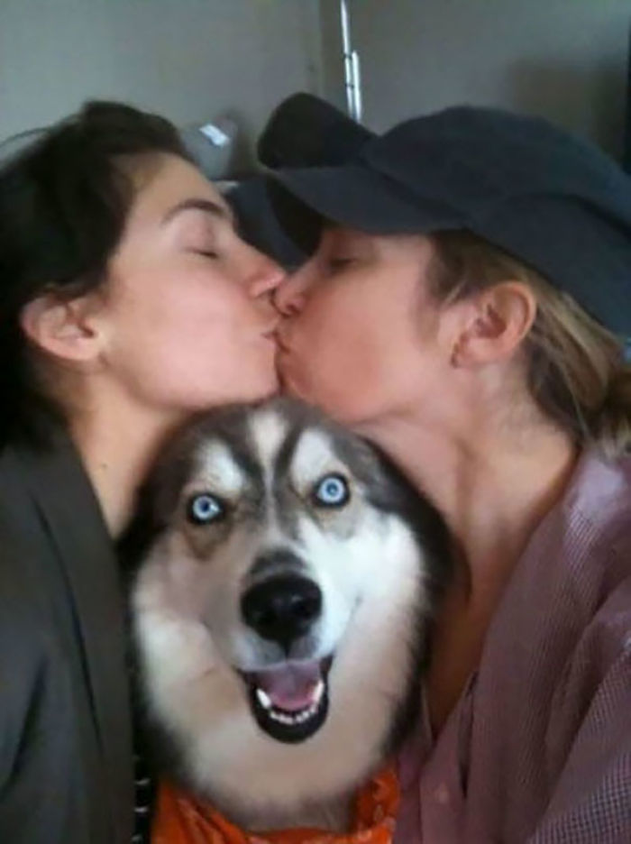 50 Times Asshole Dogs Ruined Perfect Shots 50 Times Asshole Dogs Ruined Perfect Shots