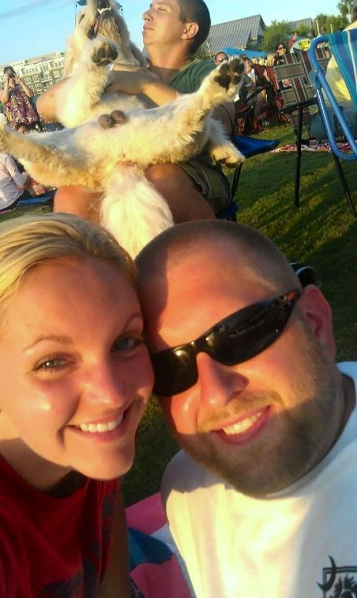 50 Times Asshole Dogs Ruined Perfect Shots 50 Times Asshole Dogs Ruined Perfect Shots