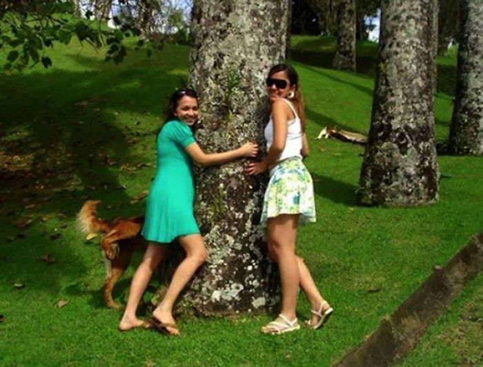 50 Times Asshole Dogs Ruined Perfect Shots 50 Times Asshole Dogs Ruined Perfect Shots