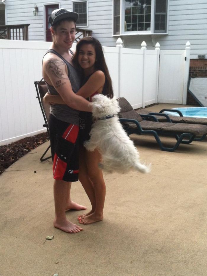 50 Times Asshole Dogs Ruined Perfect Shots 50 Times Asshole Dogs Ruined Perfect Shots