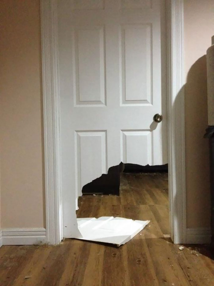 224 Times People Left Their Pets Alone, And Deeply Regretted It (Add Yours) 224 Times People Left Their Pets Alone, And Deeply Regretted It (Add Yours)