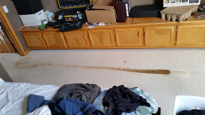 224 Times People Left Their Pets Alone, And Deeply Regretted It (Add Yours) 224 Times People Left Their Pets Alone, And Deeply Regretted It (Add Yours)