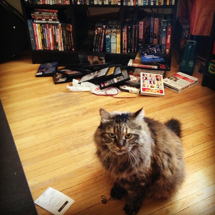 224 Times People Left Their Pets Alone, And Deeply Regretted It (Add Yours) 224 Times People Left Their Pets Alone, And Deeply Regretted It (Add Yours)