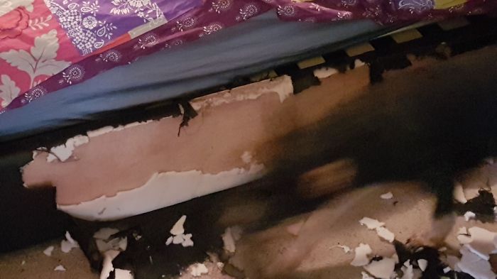 224 Times People Left Their Pets Alone, And Deeply Regretted It (Add Yours) 224 Times People Left Their Pets Alone, And Deeply Regretted It (Add Yours)