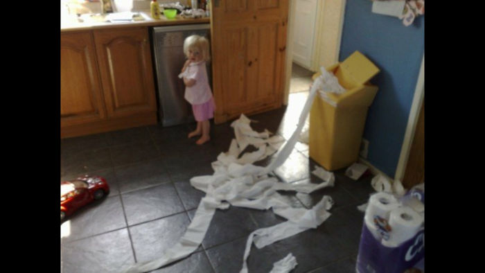 224 Times People Left Their Pets Alone, And Deeply Regretted It (Add Yours) 224 Times People Left Their Pets Alone, And Deeply Regretted It (Add Yours)