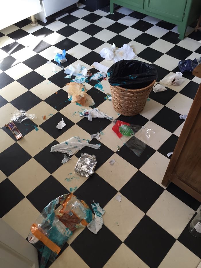 224 Times People Left Their Pets Alone, And Deeply Regretted It (Add Yours) 224 Times People Left Their Pets Alone, And Deeply Regretted It (Add Yours)