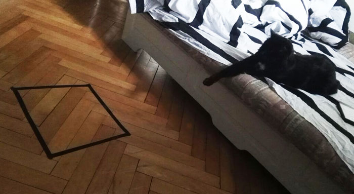 Guy Can’t Get His Cat To Sit In The Circle, But Then Discovers Something Frightening About His Cat Guy Can’t Get His Cat To Sit In The Circle, But Then Discovers Something Frightening About His Cat