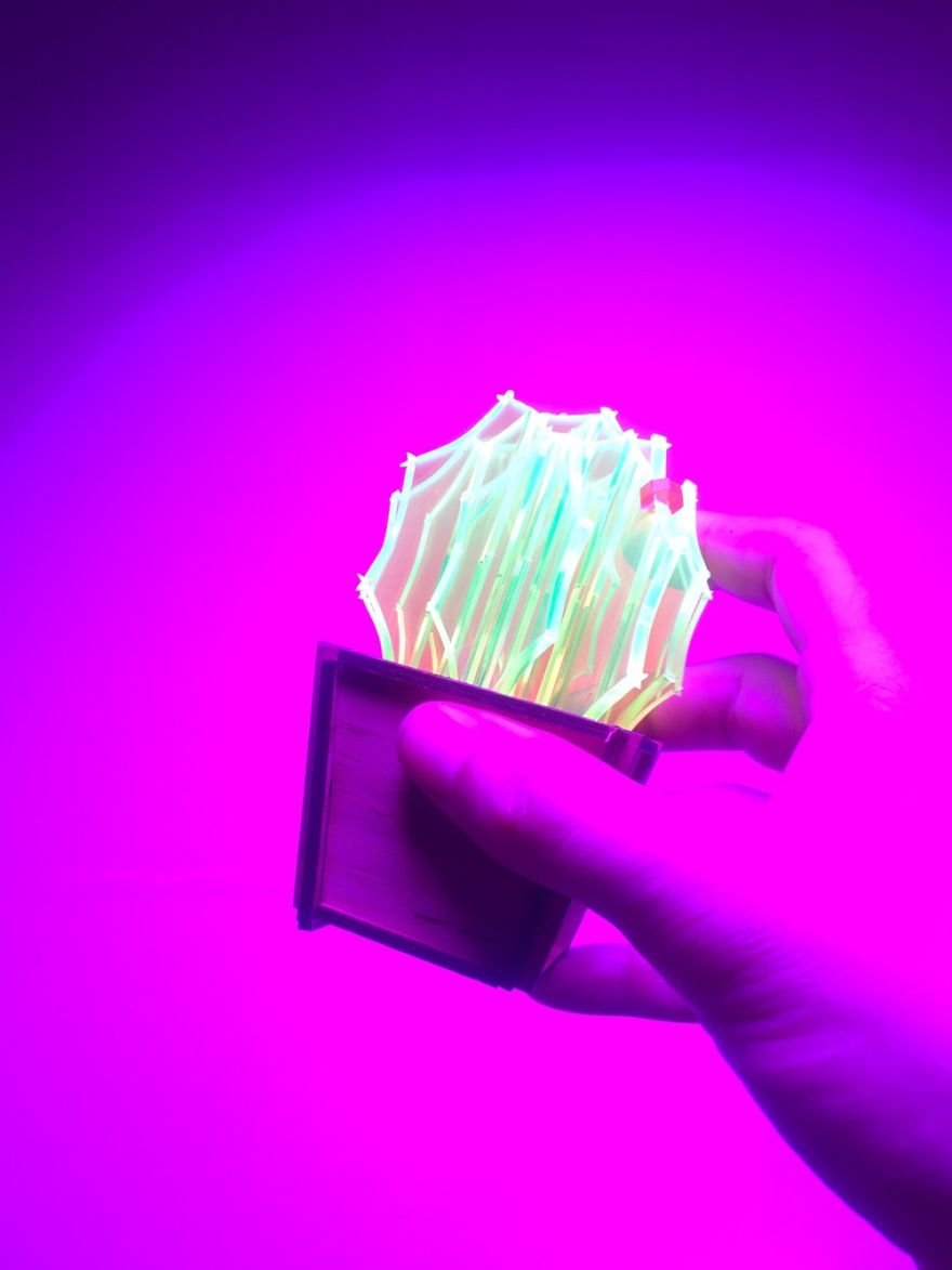 I Create Fluorescent Acrylic Plant Sculptures