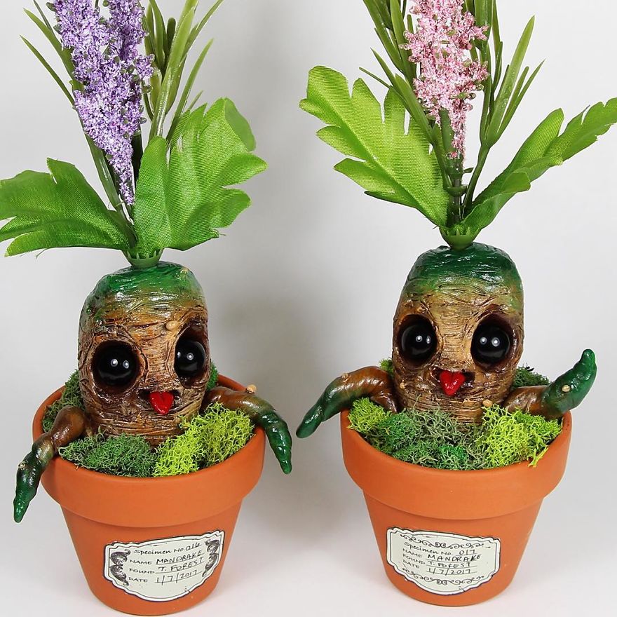 Creatures That Shouldn&#8217;t Be Alive